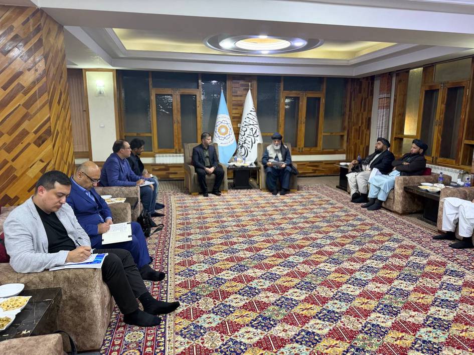 Ўзбекистон Афғонистон билан фармацевтика савдосини 500 млн долларга етказади